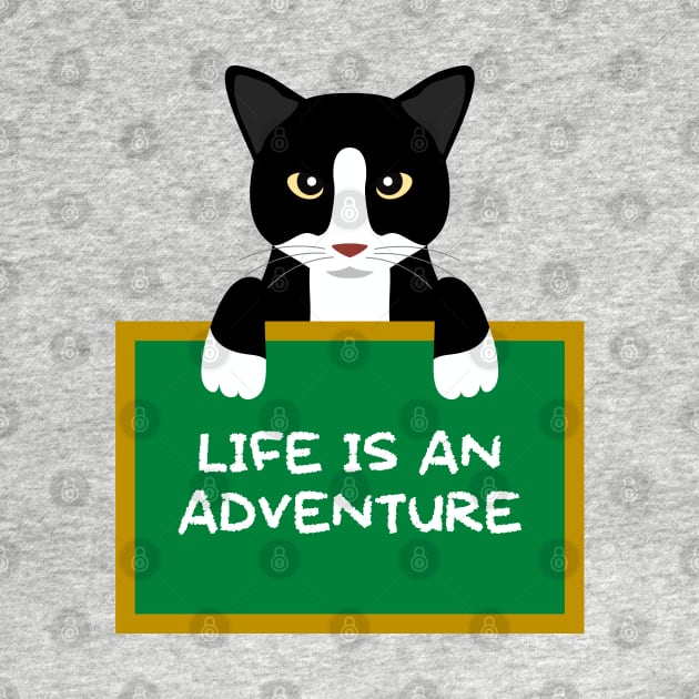 Advice Cat - Life Is An Adventure by inotyler